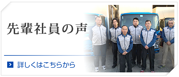 先輩社員の声